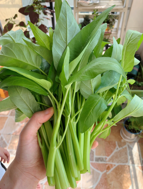 Stir-Fried Water Spinach