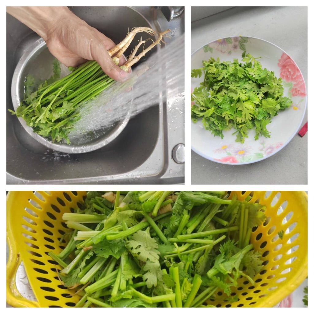 Fresh cilantro being cut into sections on a cutting board, with onion, garlic, and ginger beside it